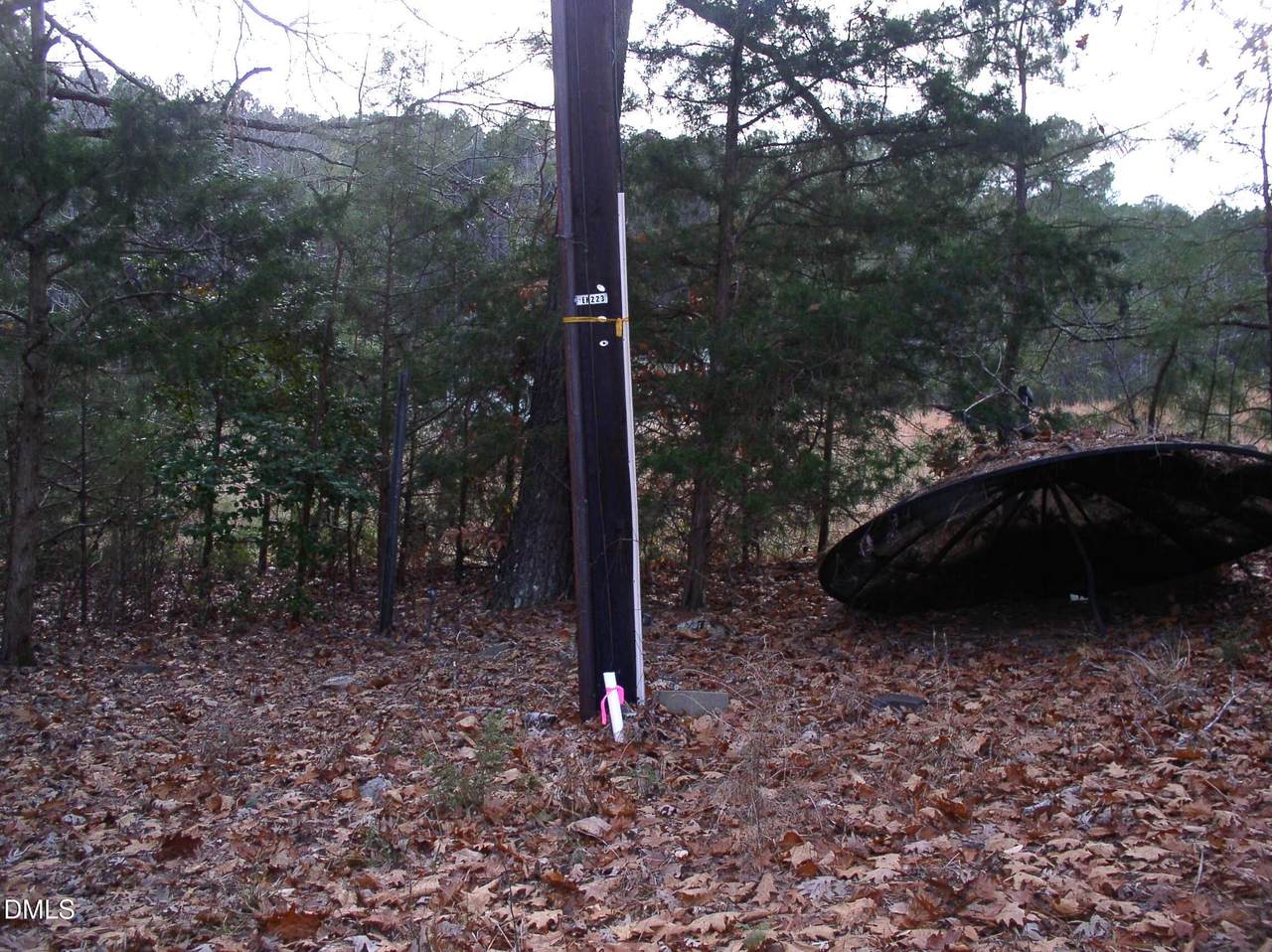 https://bt-photos.global.ssl.fastly.net/tmls/1280_boomver_1_10136388-2.jpg
