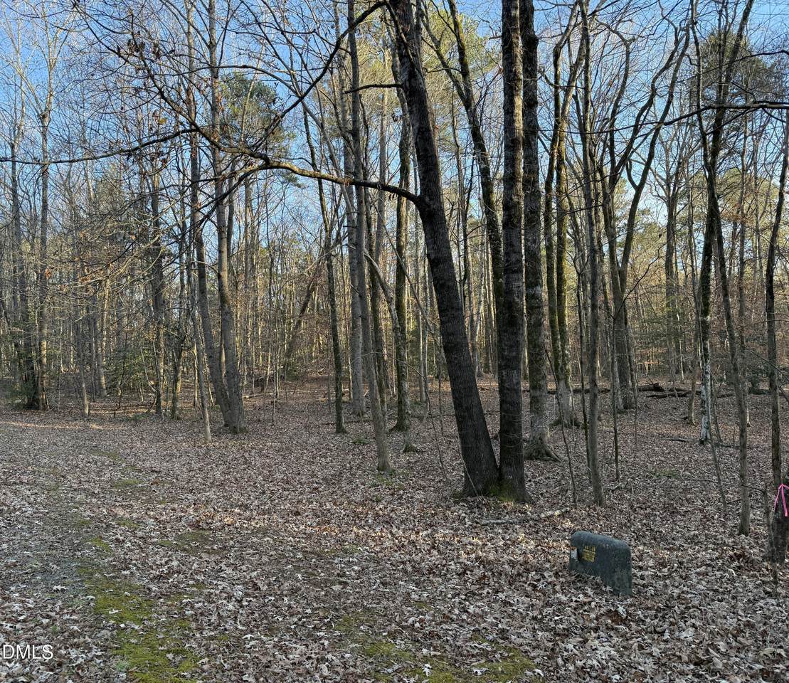 https://bt-photos.global.ssl.fastly.net/tmls/1280_boomver_1_10137284-2.jpg