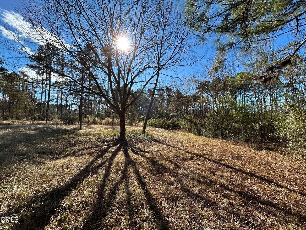 523 New Elam Church Road - Photo 1