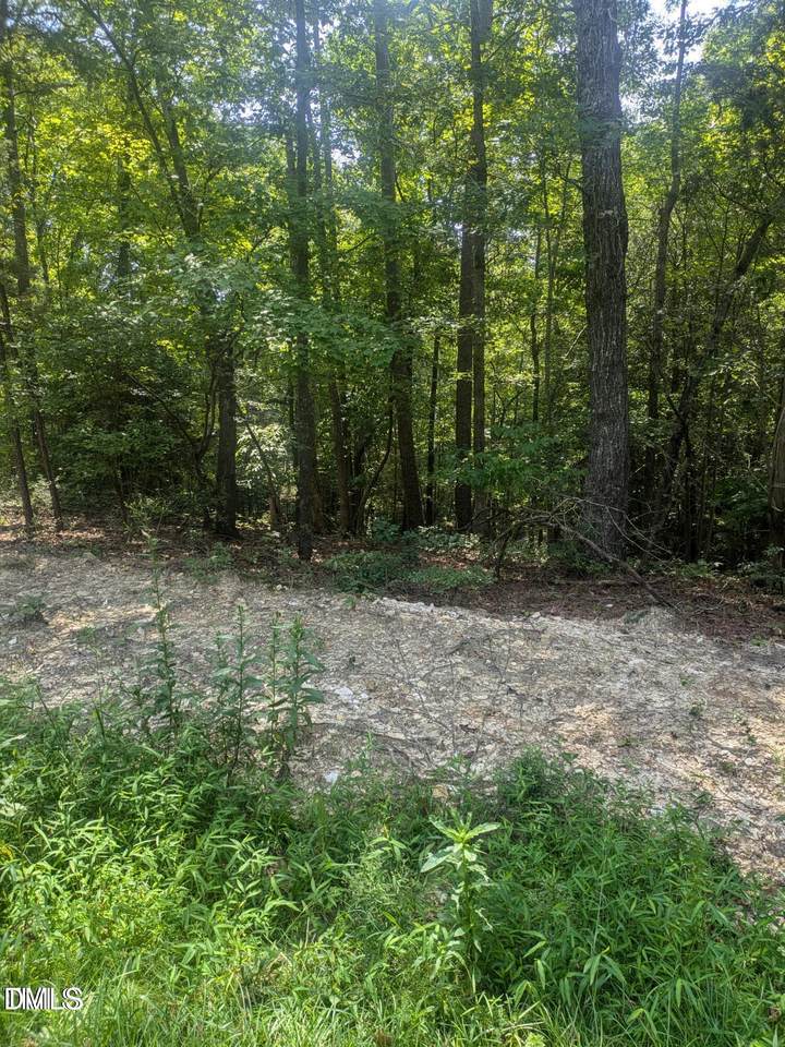 999 Natchez Trace - Photo 1