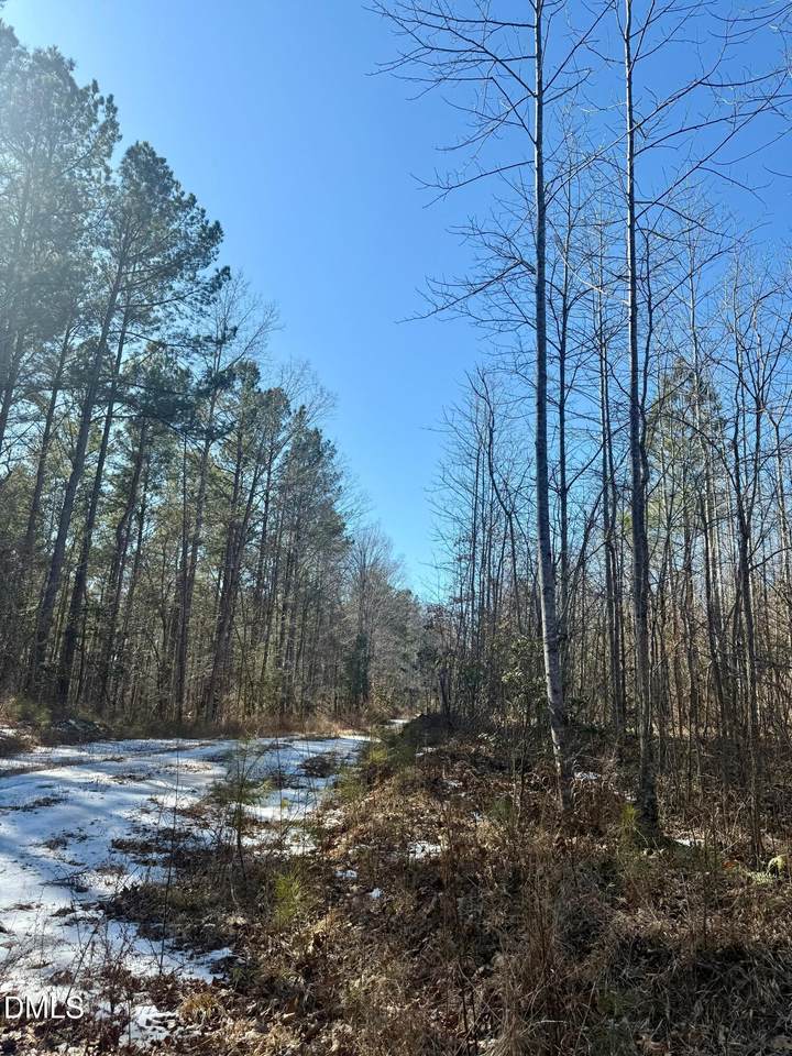 0 Warren Woods Street - Photo 1
