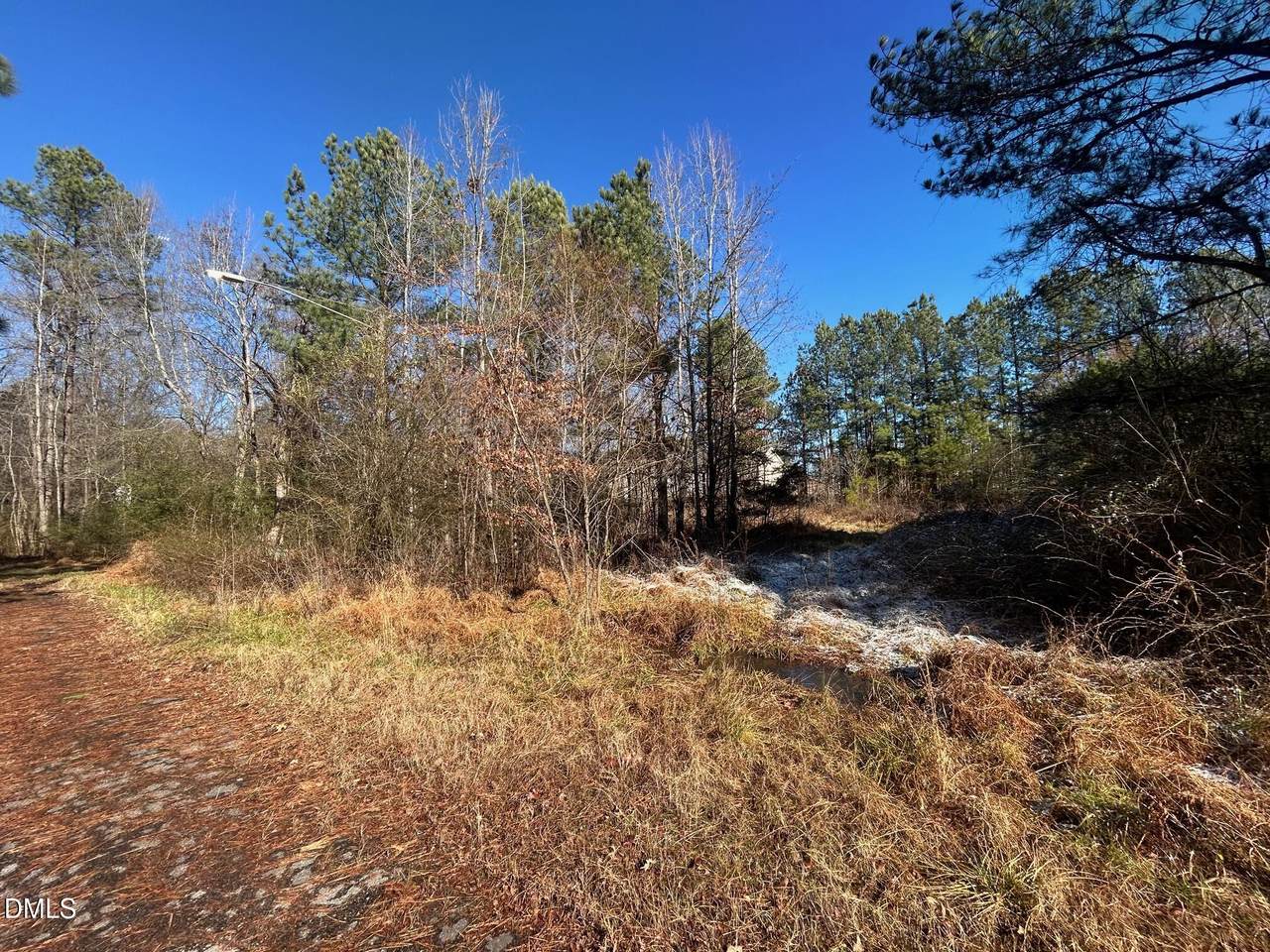 Lot 16 Dove Road - Photo 1