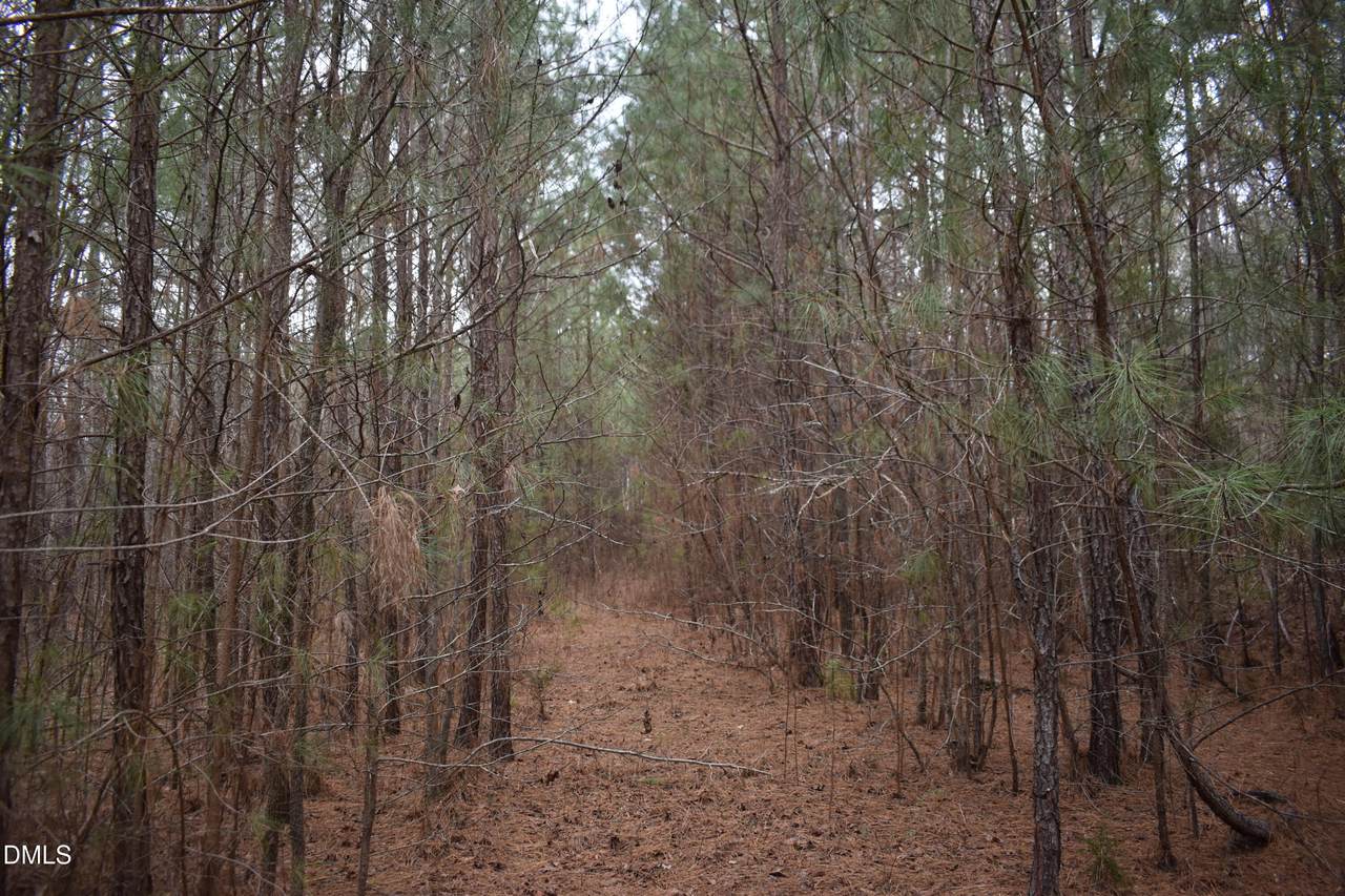 257 Piney Grove Church Road - Photo 1