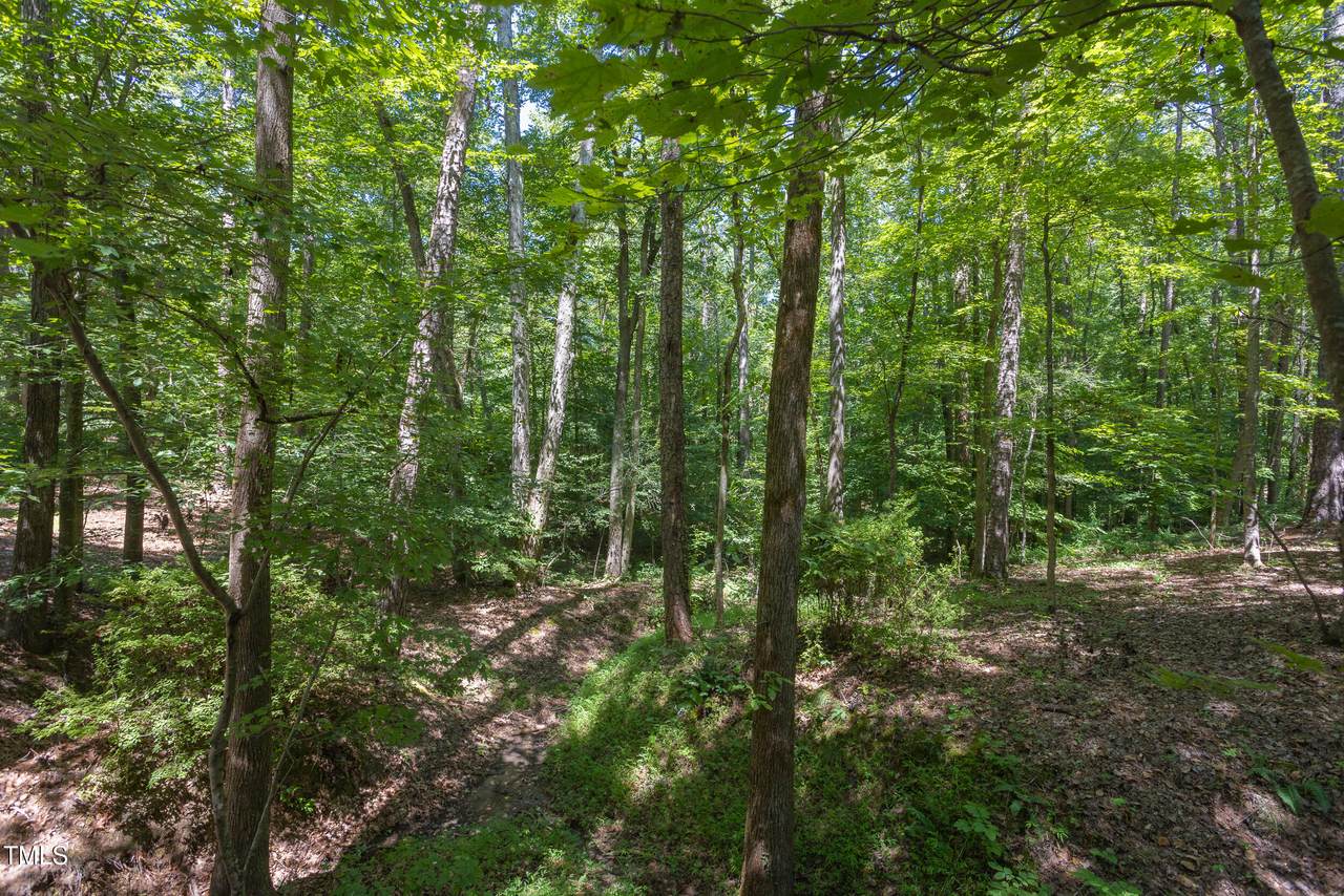 4515 Chicopee Trail - Photo 1