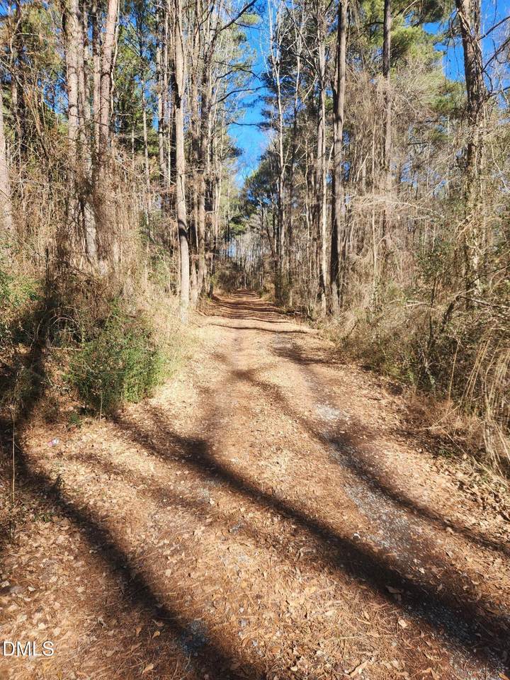 174 Solomon Worley Drive - Photo 1