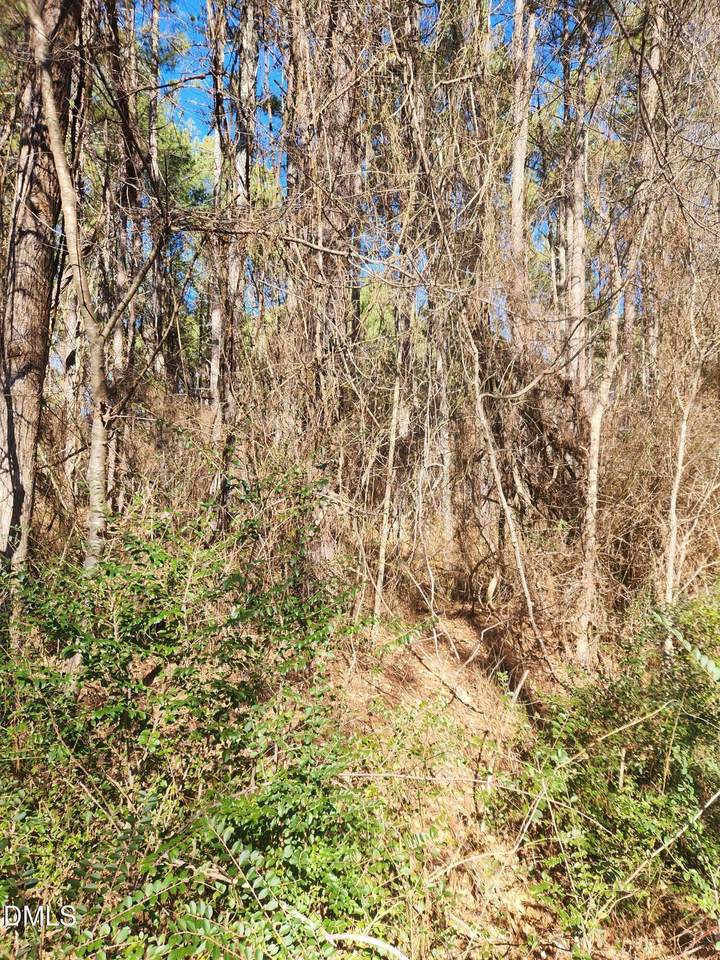 https://bt-photos.global.ssl.fastly.net/tmls/1280_boomver_1_10145210-2.jpg