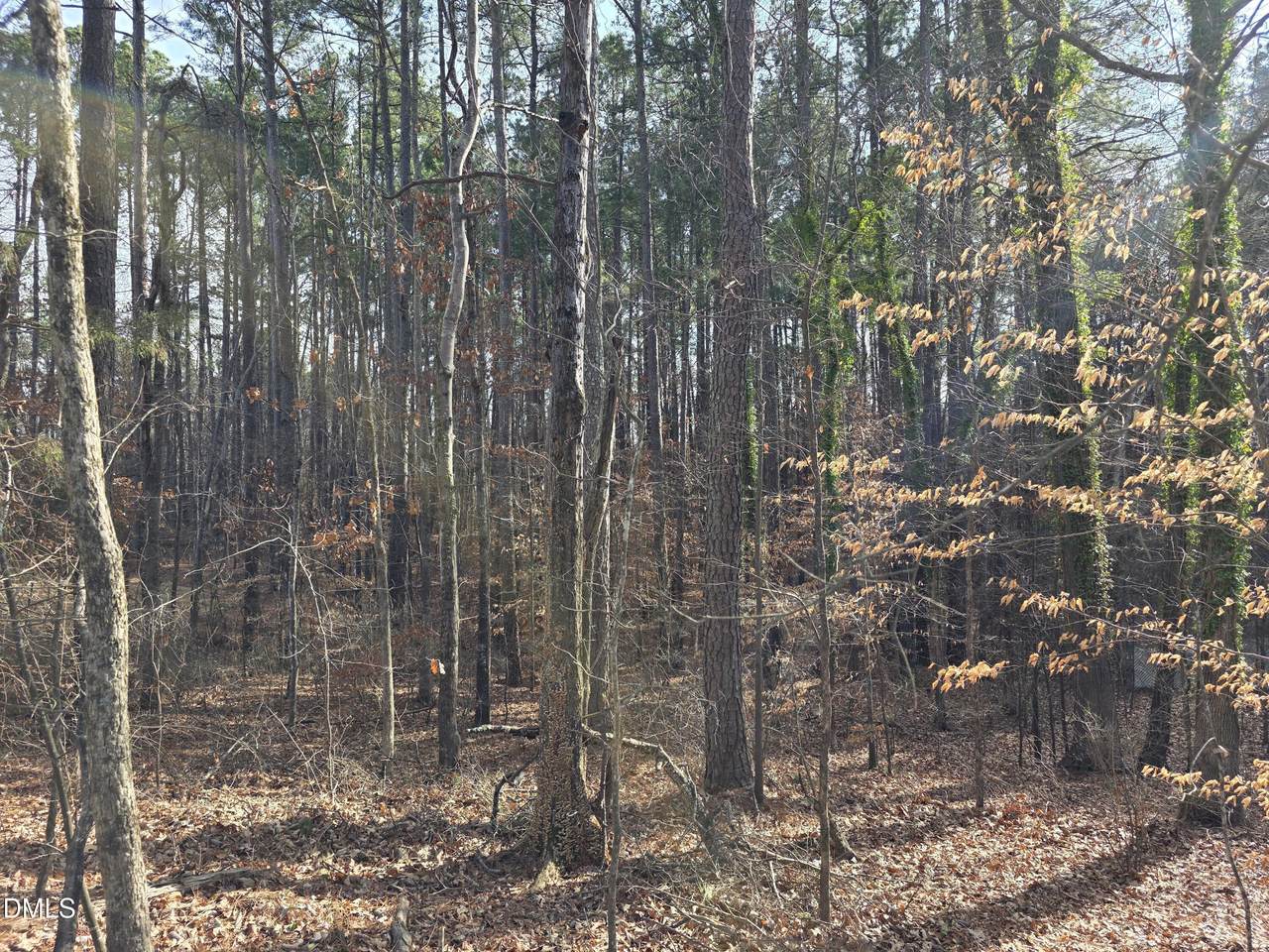 906 Ardmore Drive - Photo 1