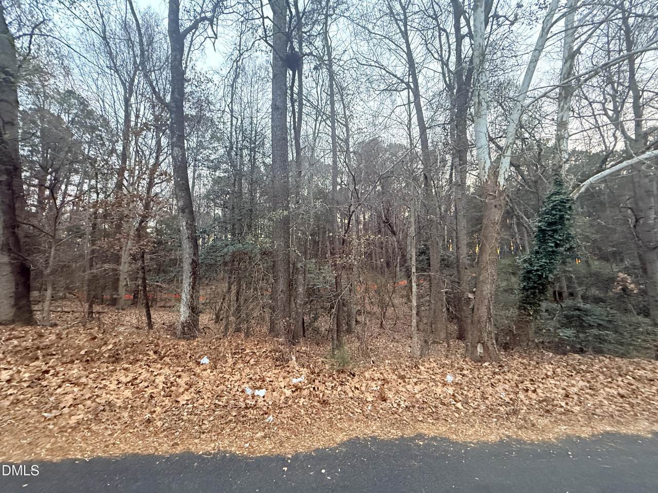 5104 Royal Acres Road - Photo 1