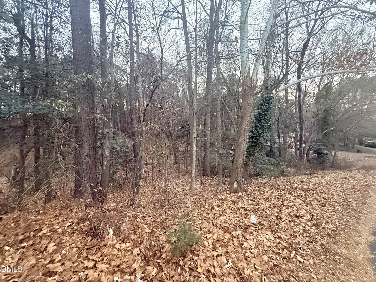 https://bt-photos.global.ssl.fastly.net/tmls/1280_boomver_1_10148449-2.jpg