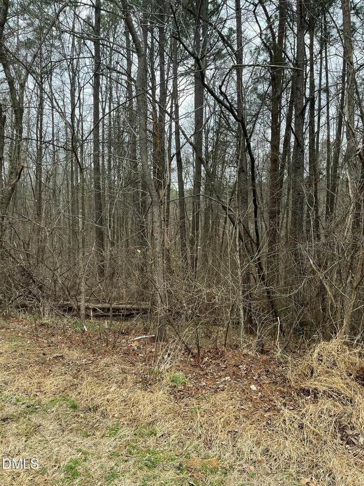 93 Lot Haynoke Drive - Photo 1