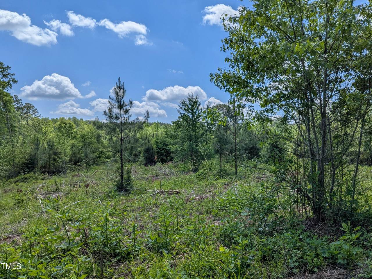 0 Cypress Creek Drive - Photo 1