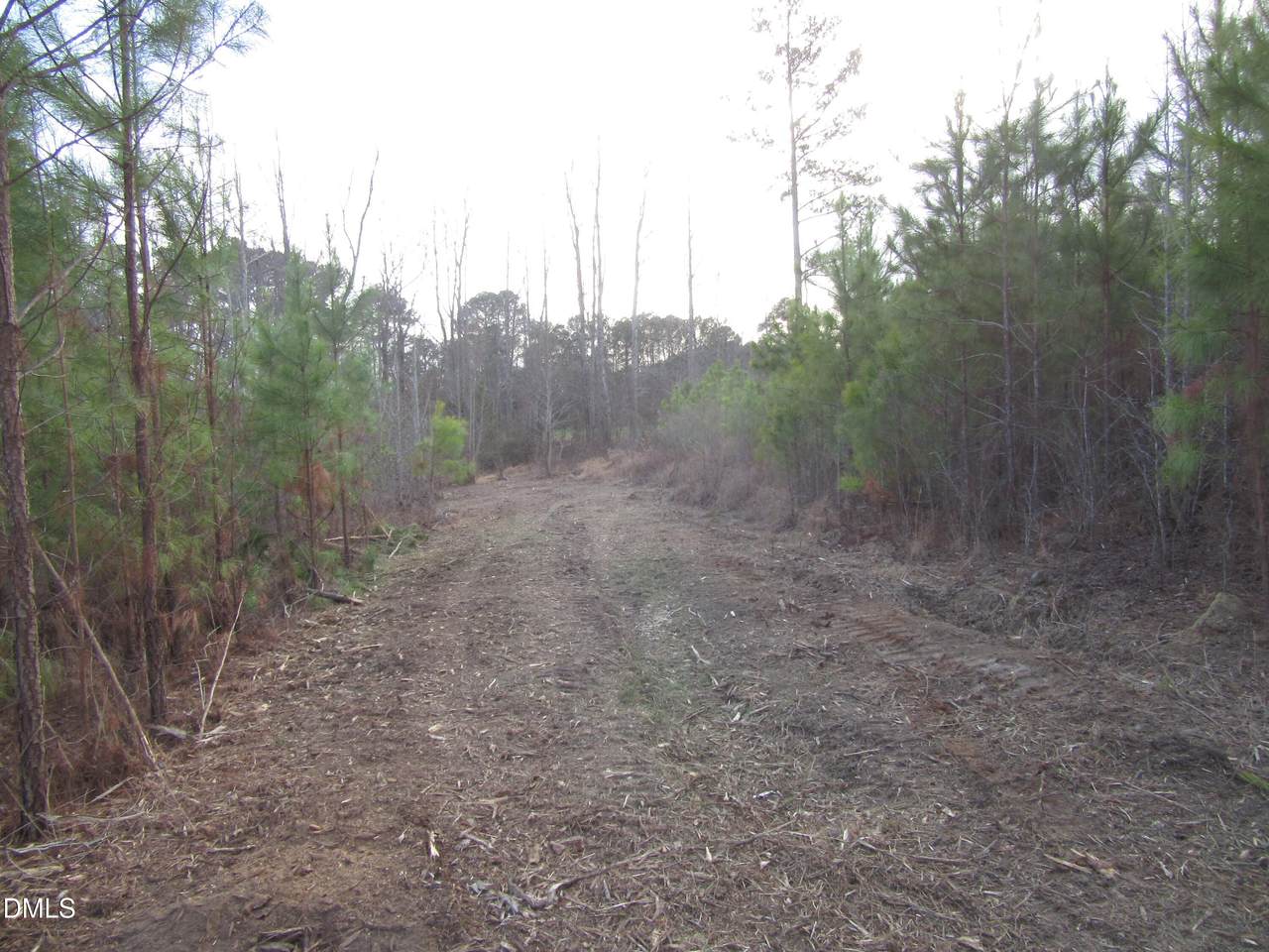 5.86 Acres Pearces Road - Photo 1