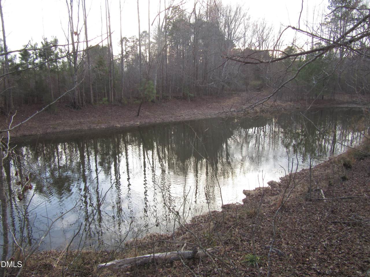 https://bt-photos.global.ssl.fastly.net/tmls/1280_boomver_1_10150428-2.jpg