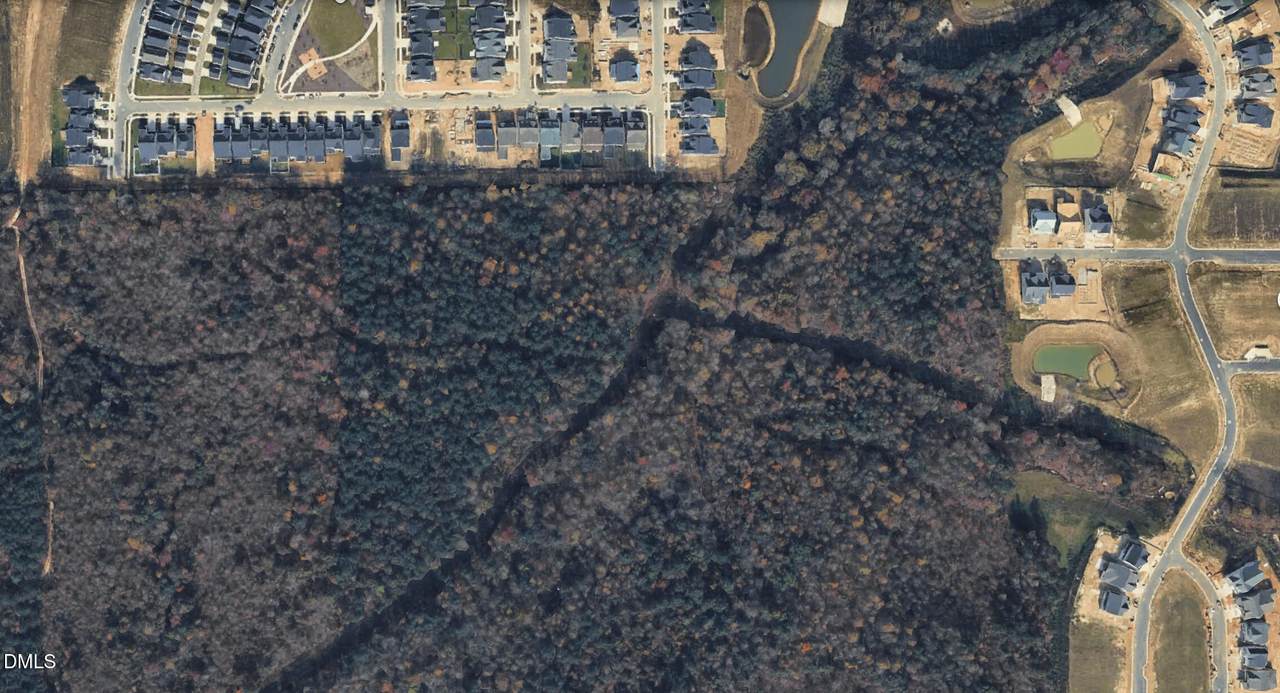 0 Martin Pond Road - Photo 1