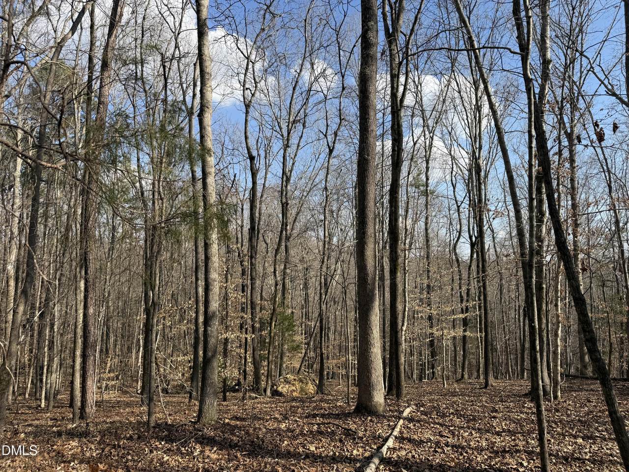 0 Birch Creek Farm Lane - Photo 1