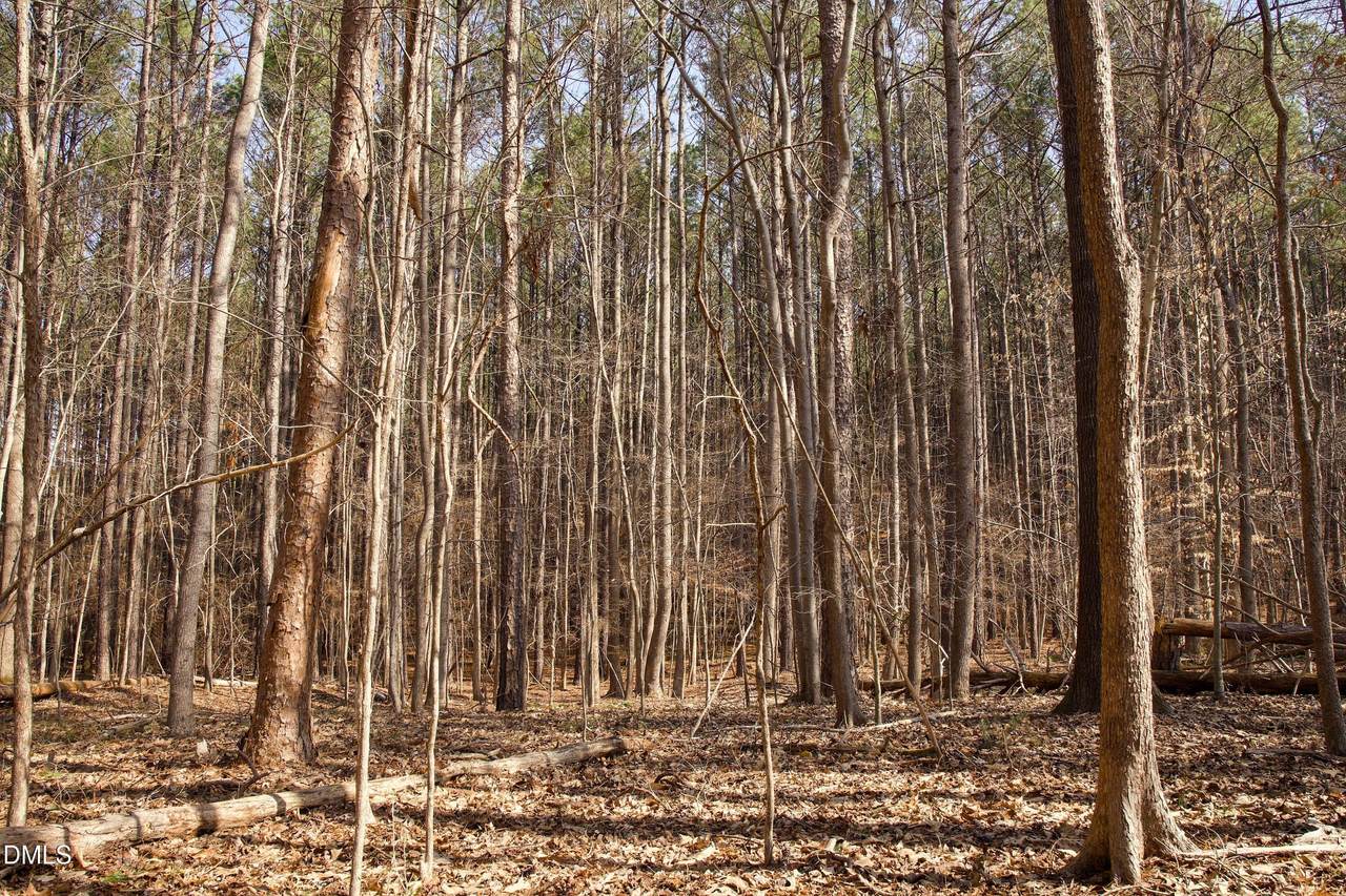 7023 Southern Trail - Photo 1