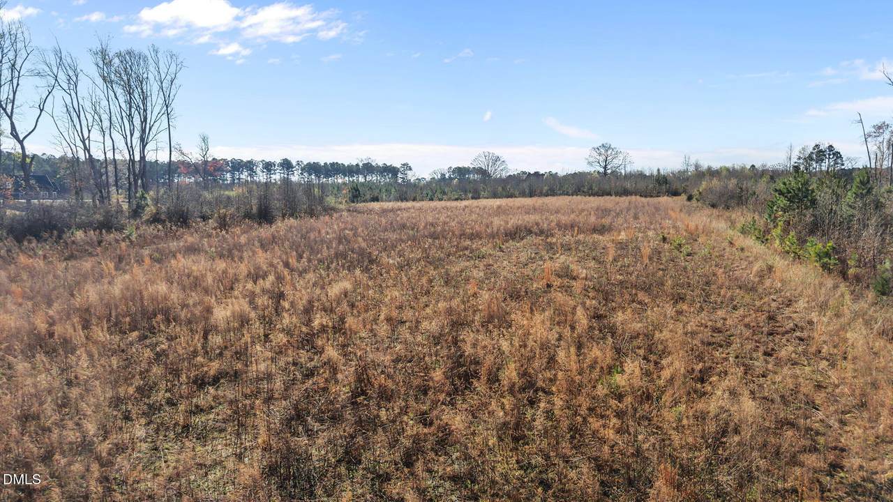 0 Dukes Lake Road - Photo 1