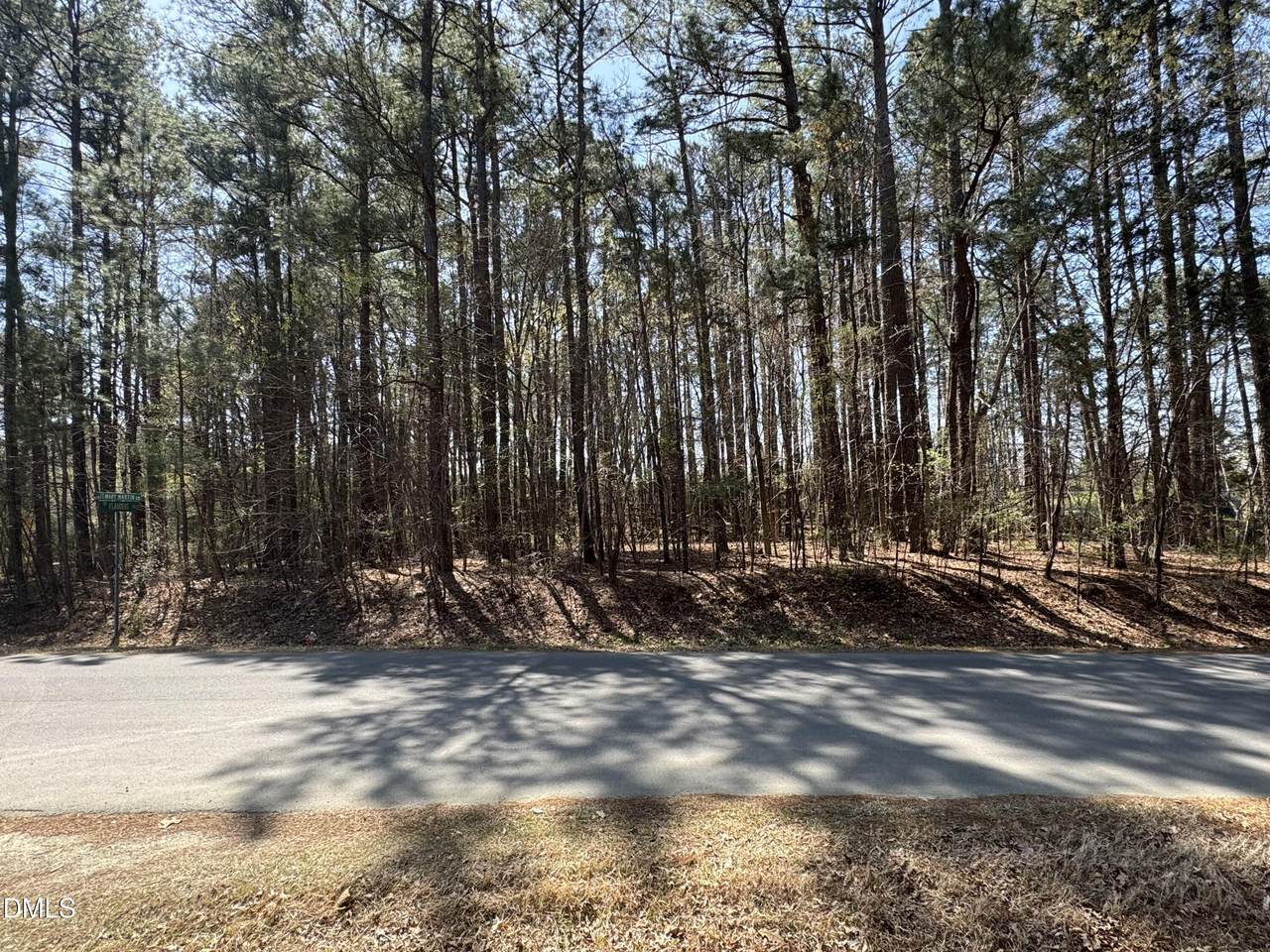 3900 Mary Martin Road - Photo 1