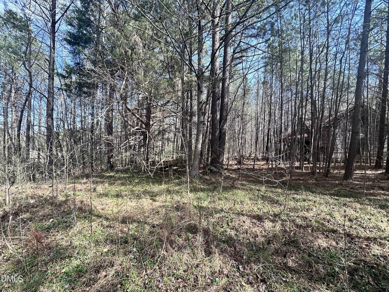 0 Pleasant Hill Church Road - Photo 1