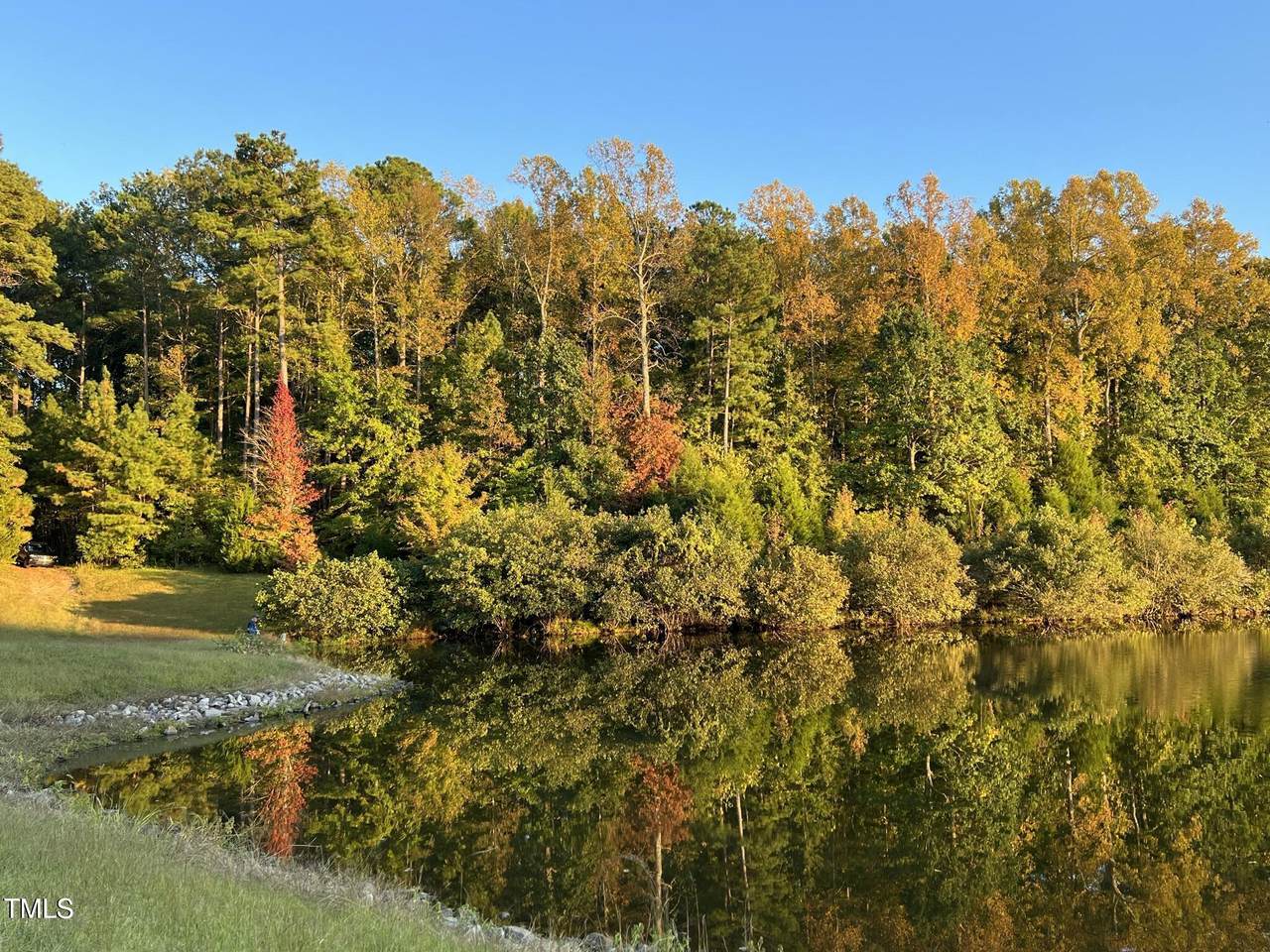 https://bt-photos.global.ssl.fastly.net/tmls/1280_boomver_1_10154365-2.jpg