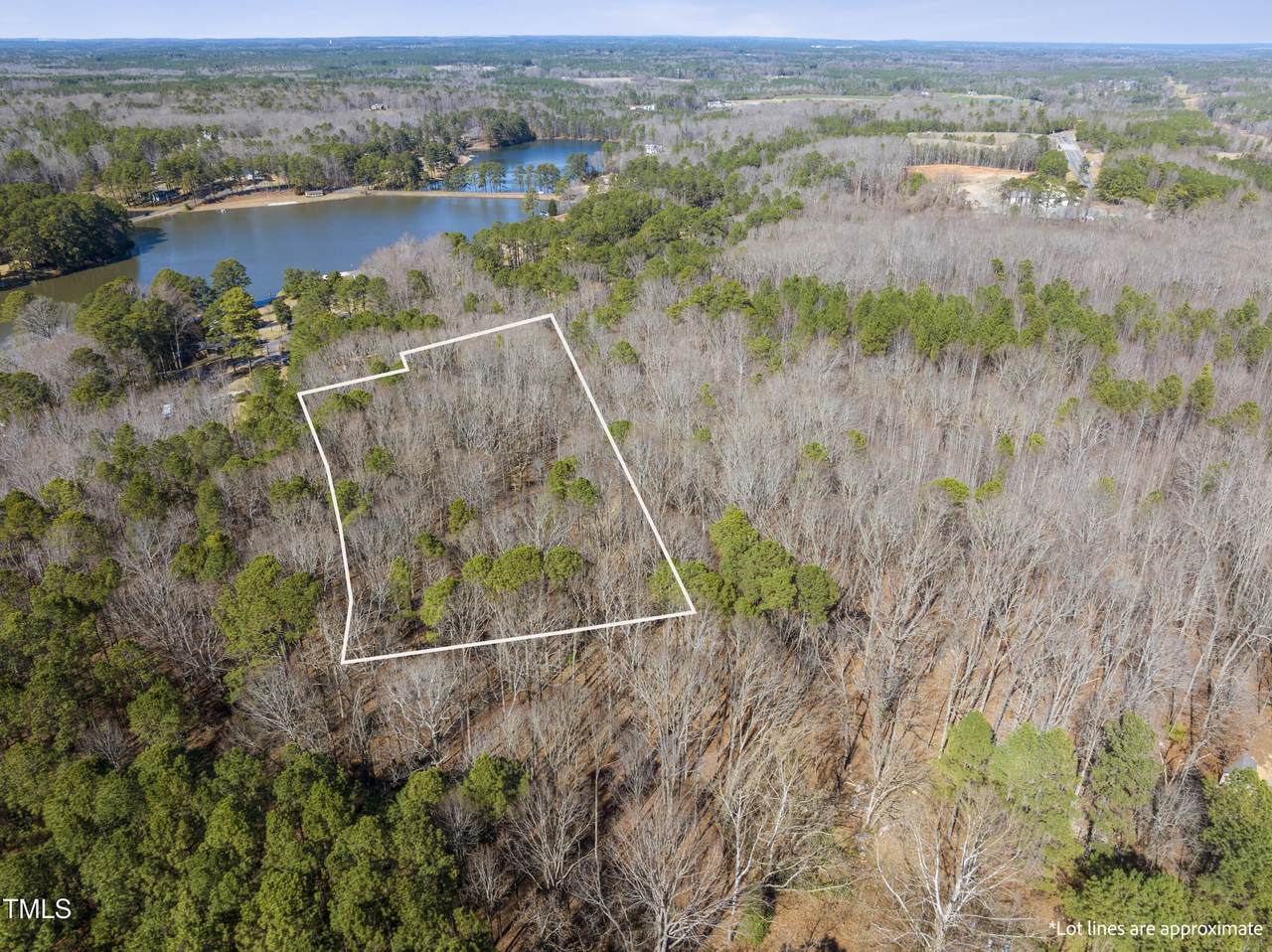 0 Oldham Lake Road - Photo 1