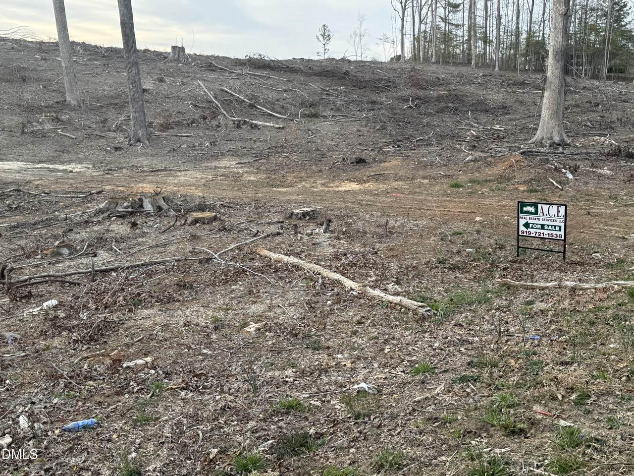 0 Pete Smith Road - Photo 1