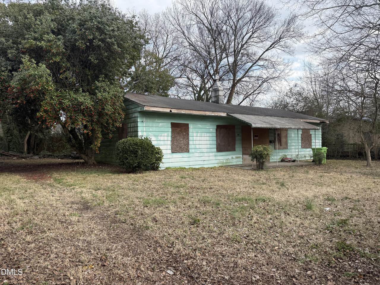 207 Bladen Street - Photo 1