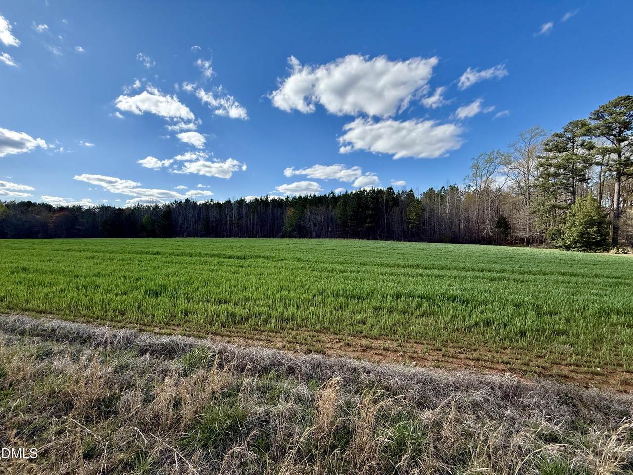 2757 Philo White Road - Photo 1