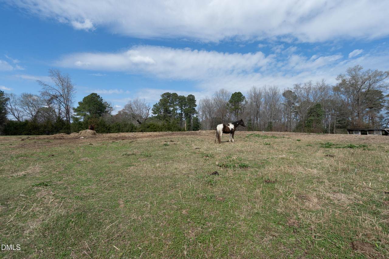 5220 Pulley Town Road - Photo 1