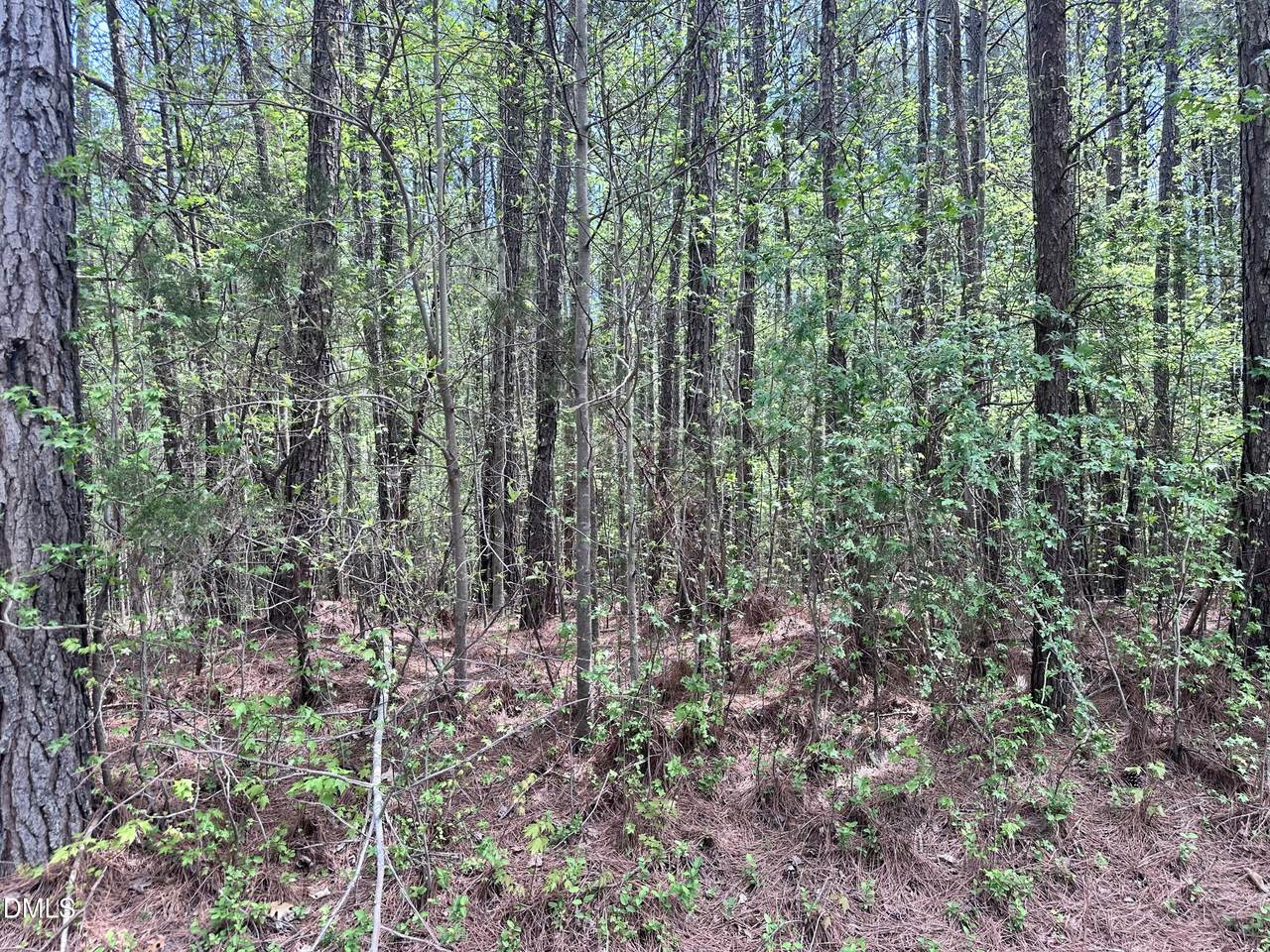 7227 Russell Road - Photo 1