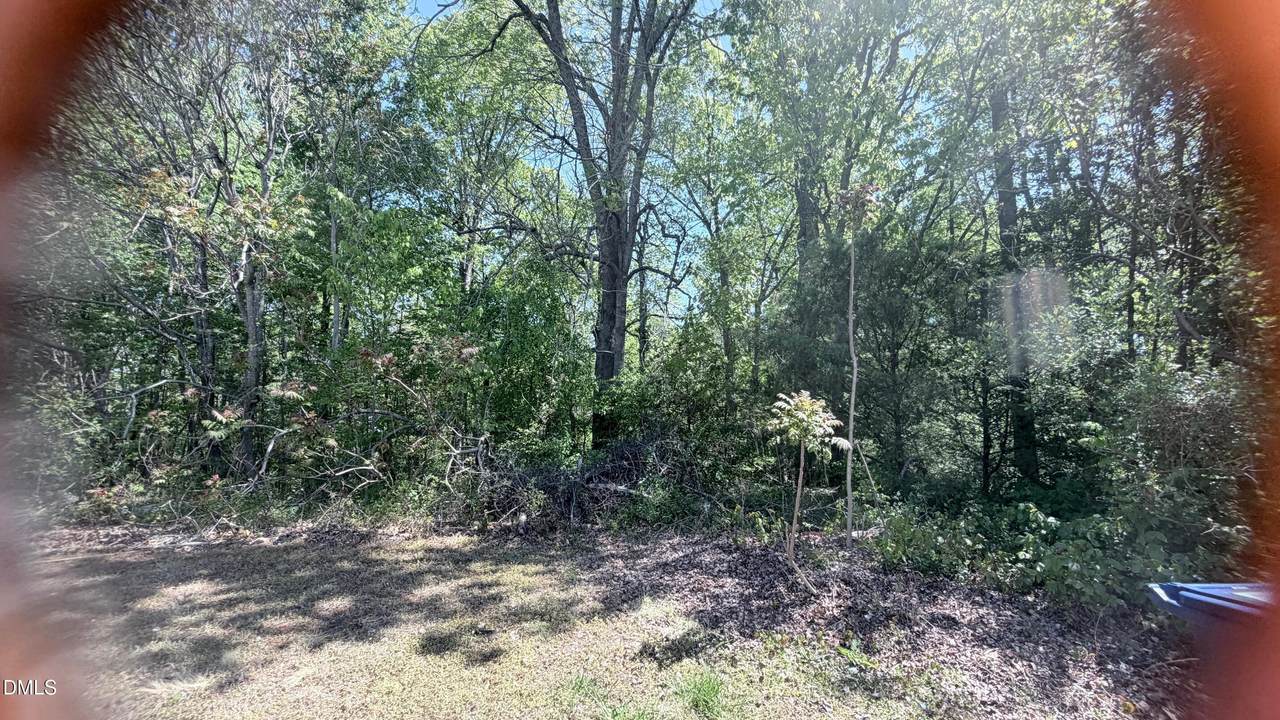 1706 Wind Sound Way - Photo 1