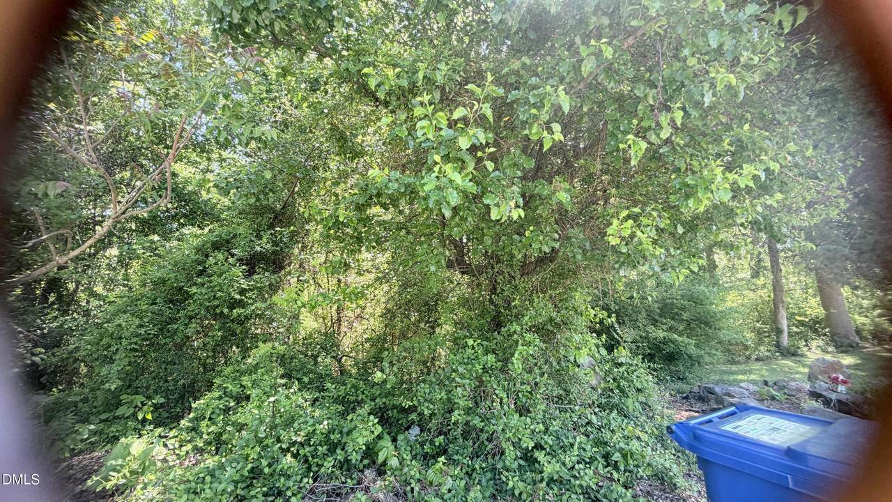 1707 Wind Sound Way - Photo 1