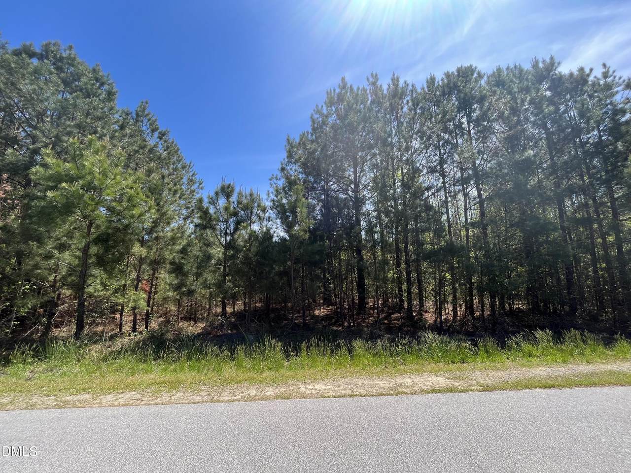 1853 Firetower Road - Photo 1