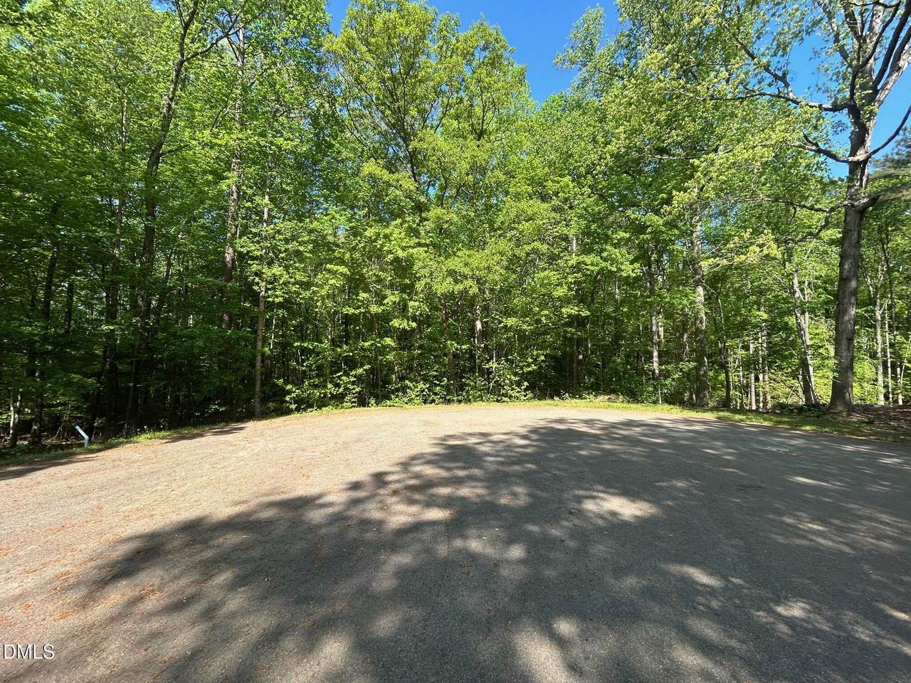 134 Red Dog Drive - Photo 1