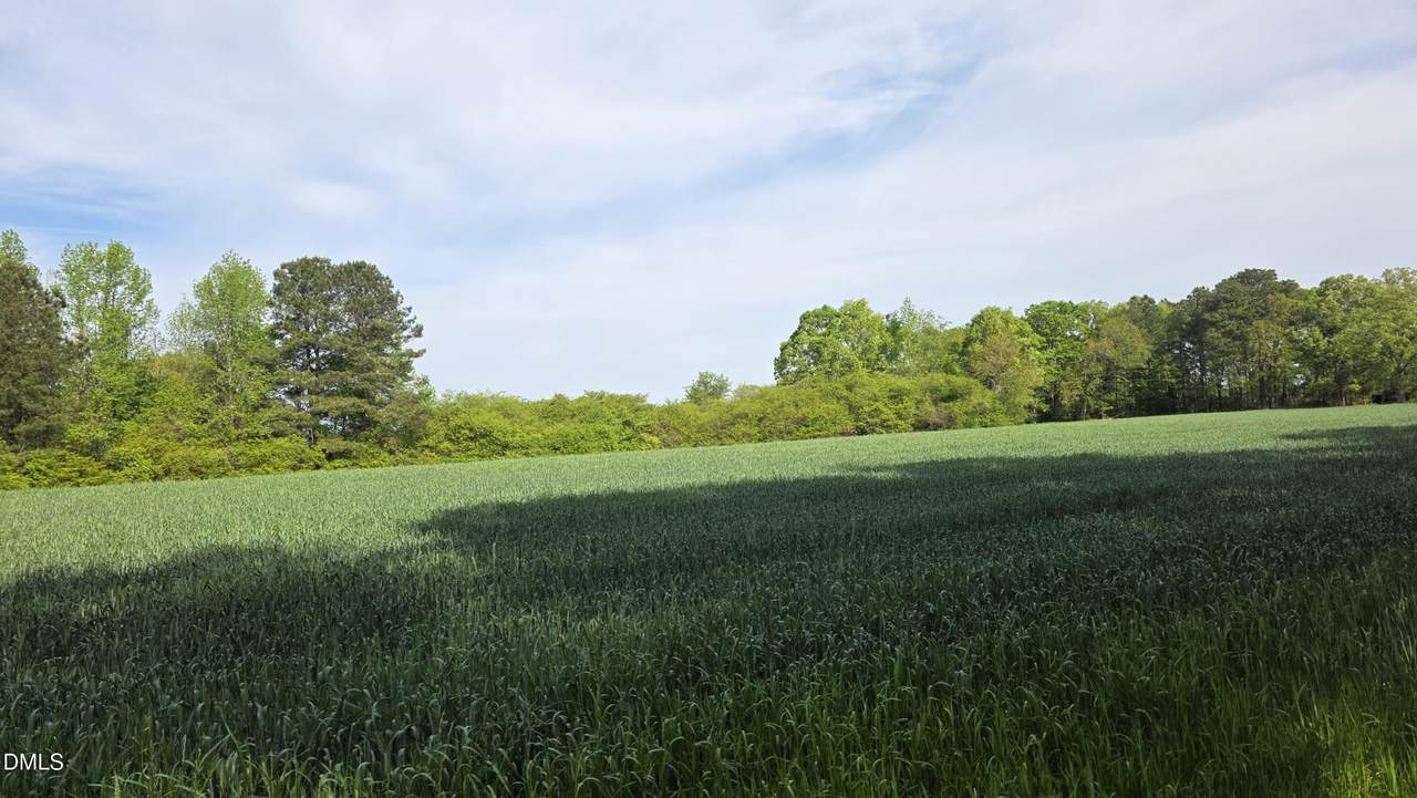 294 Hight Road - Photo 1