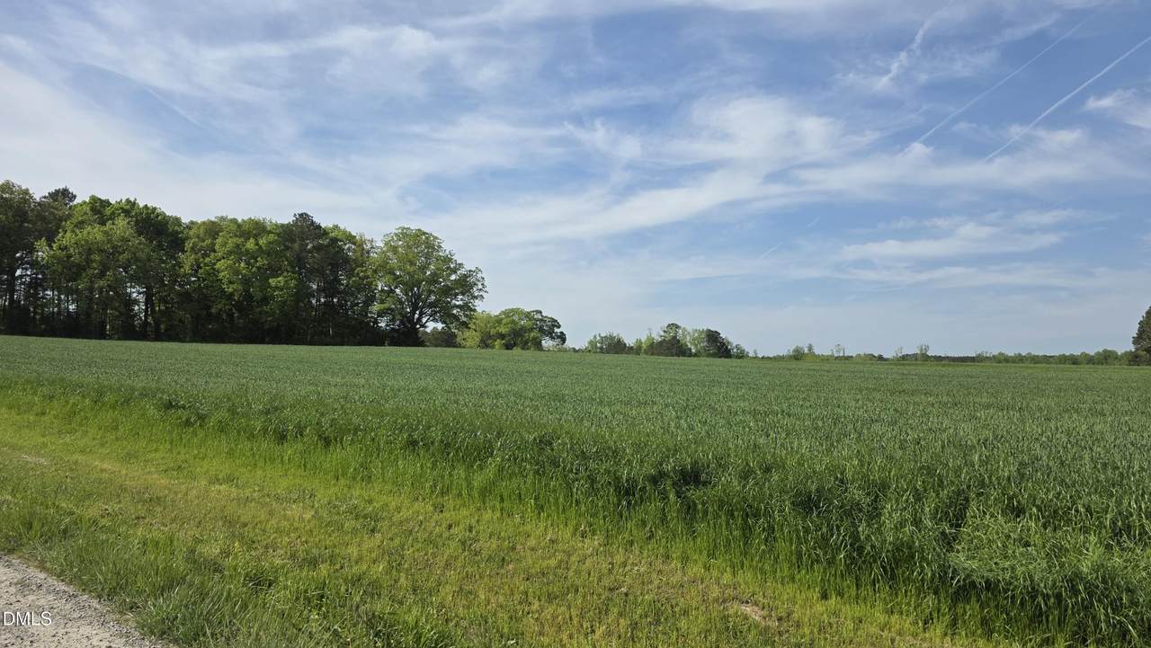 https://bt-photos.global.ssl.fastly.net/tmls/1280_boomver_1_10160220-2.jpg