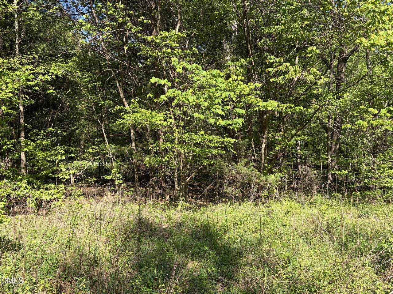 https://bt-photos.global.ssl.fastly.net/tmls/1280_boomver_1_10160761-2.jpg