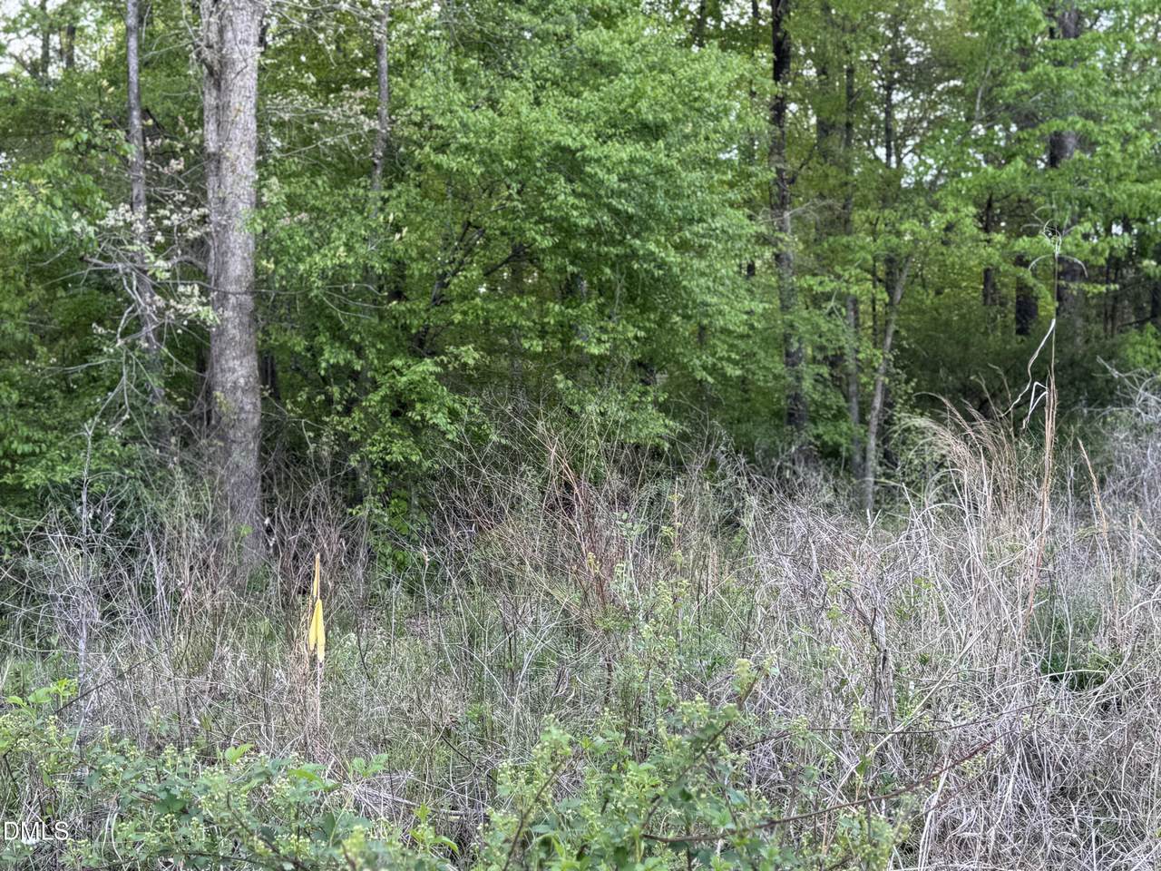4222 Jeffries Road - Photo 1
