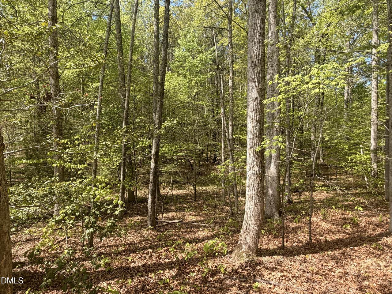4 Plantation - Photo 1