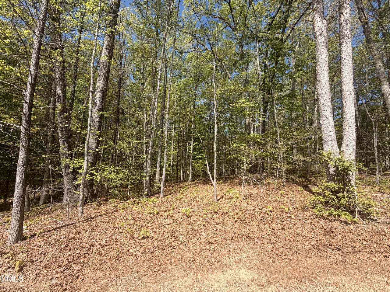 https://bt-photos.global.ssl.fastly.net/tmls/1280_boomver_1_10161484-2.jpg