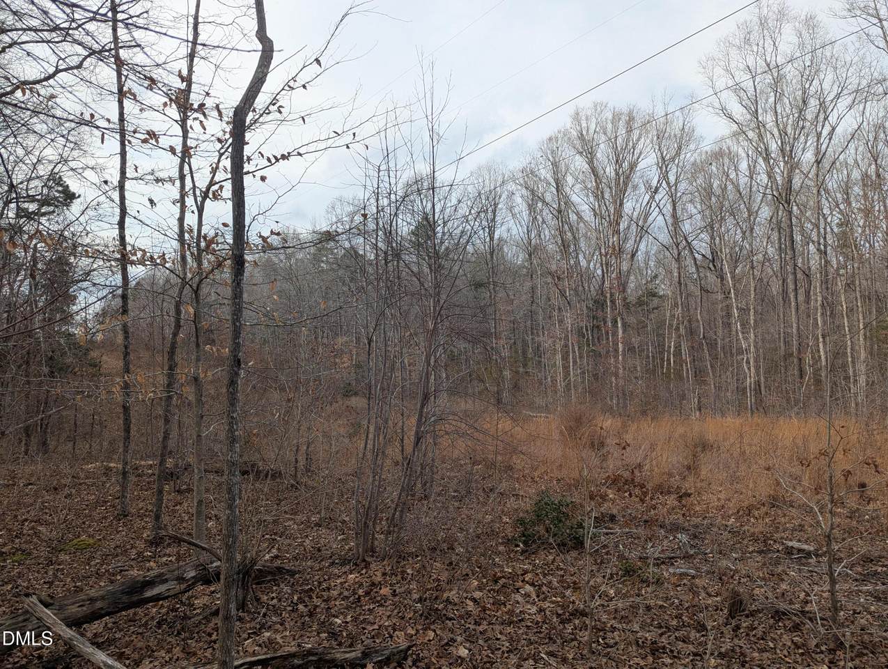 0 Dirgie Mine Road - Photo 1