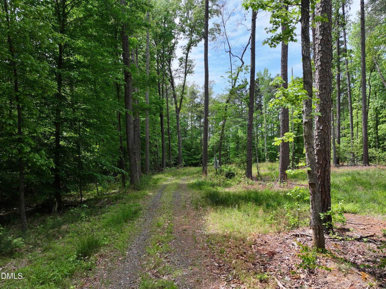 75 Max Finn Lane - Photo 1