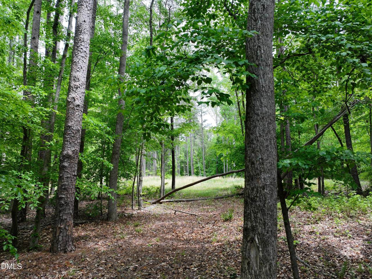 https://bt-photos.global.ssl.fastly.net/tmls/orig_boomver_1_10164725-2.jpg