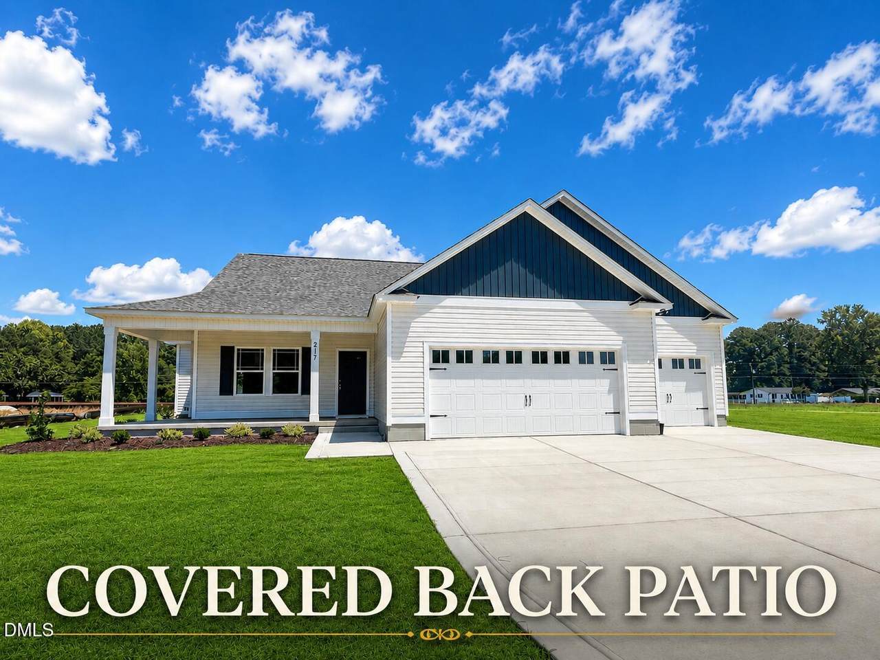 217 Huckleberry Bush Lane - Photo 1
