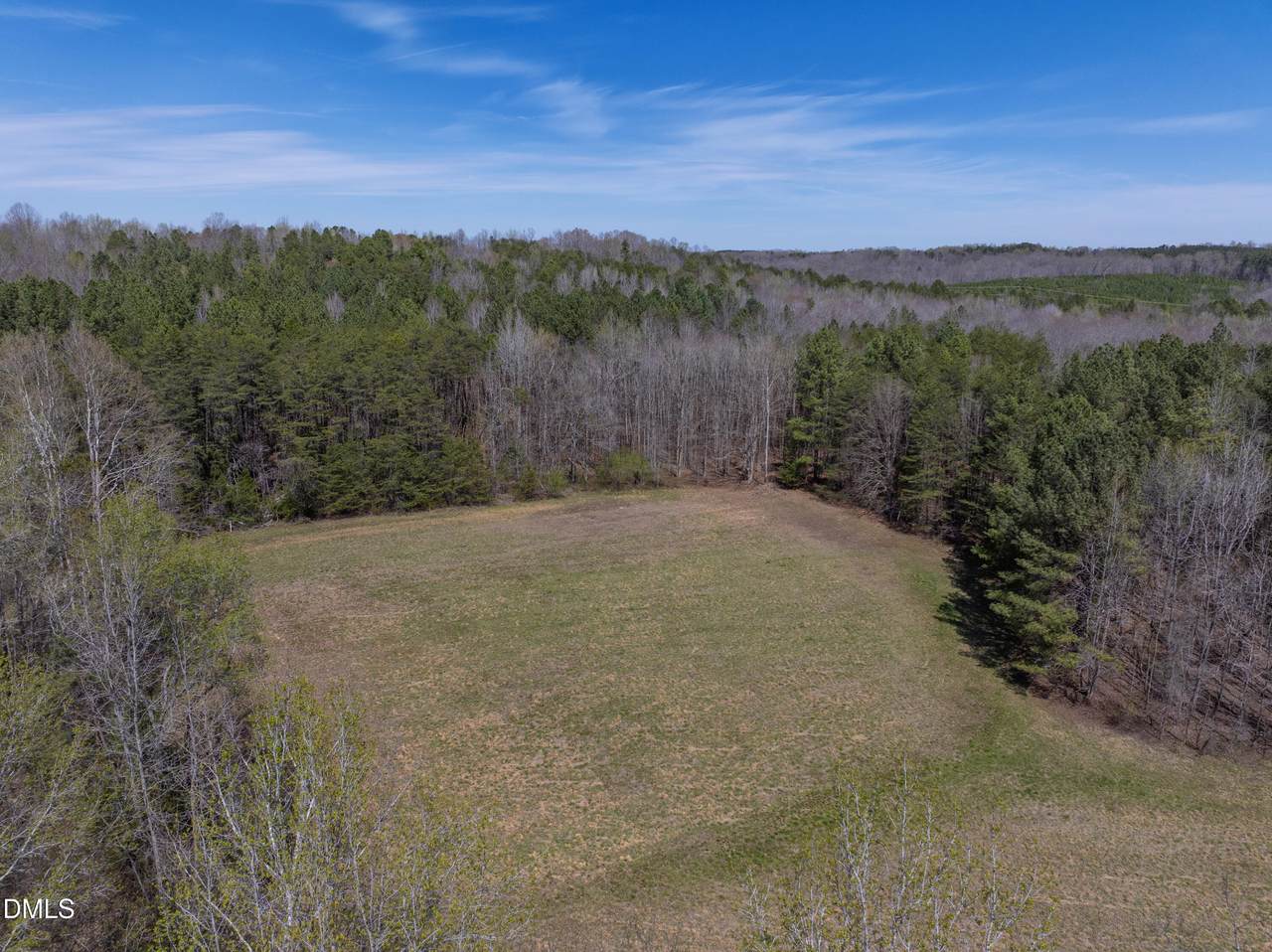 0 Doll Branch Road - Photo 1