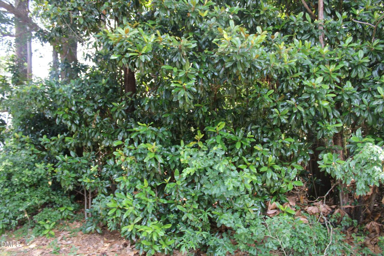 20 Grant Drive - Photo 1