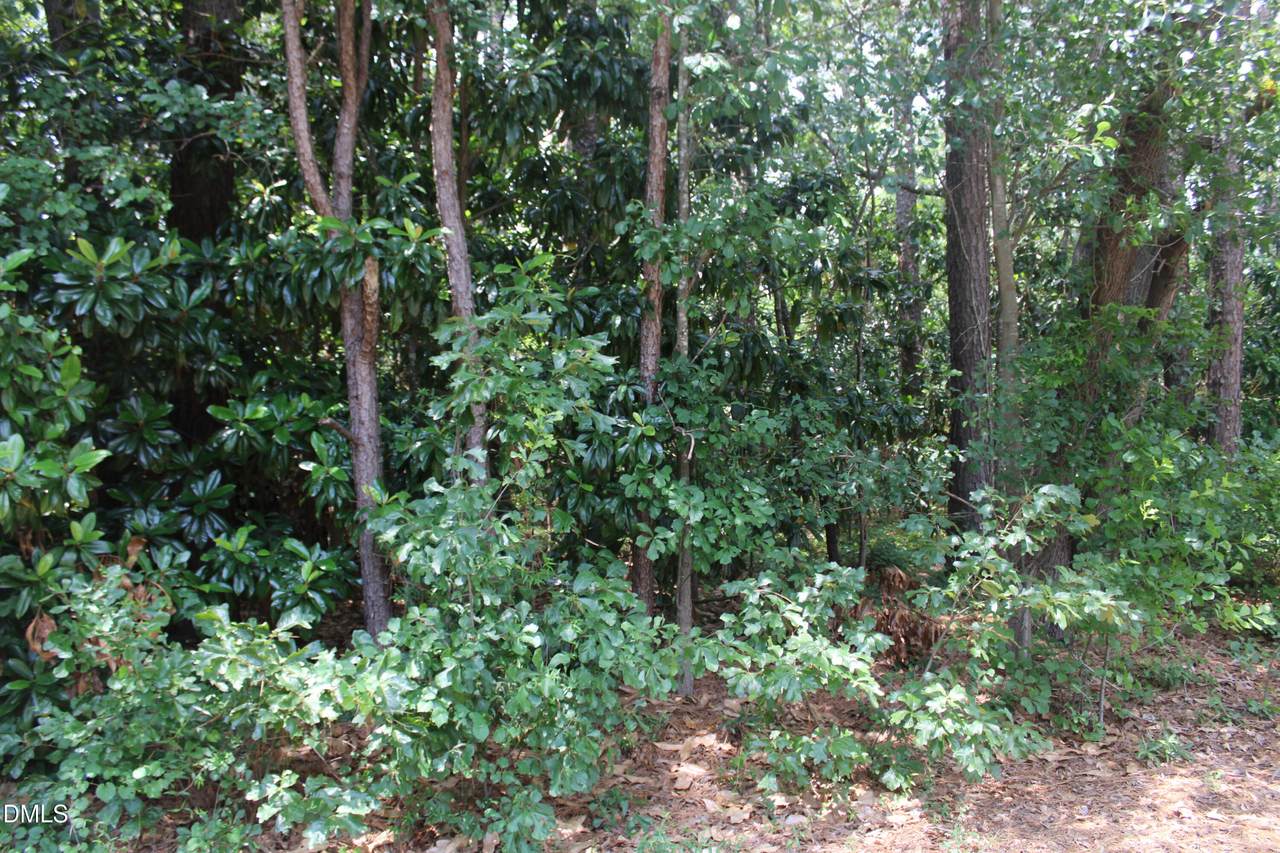 https://bt-photos.global.ssl.fastly.net/tmls/1280_boomver_1_10176497-2.jpg