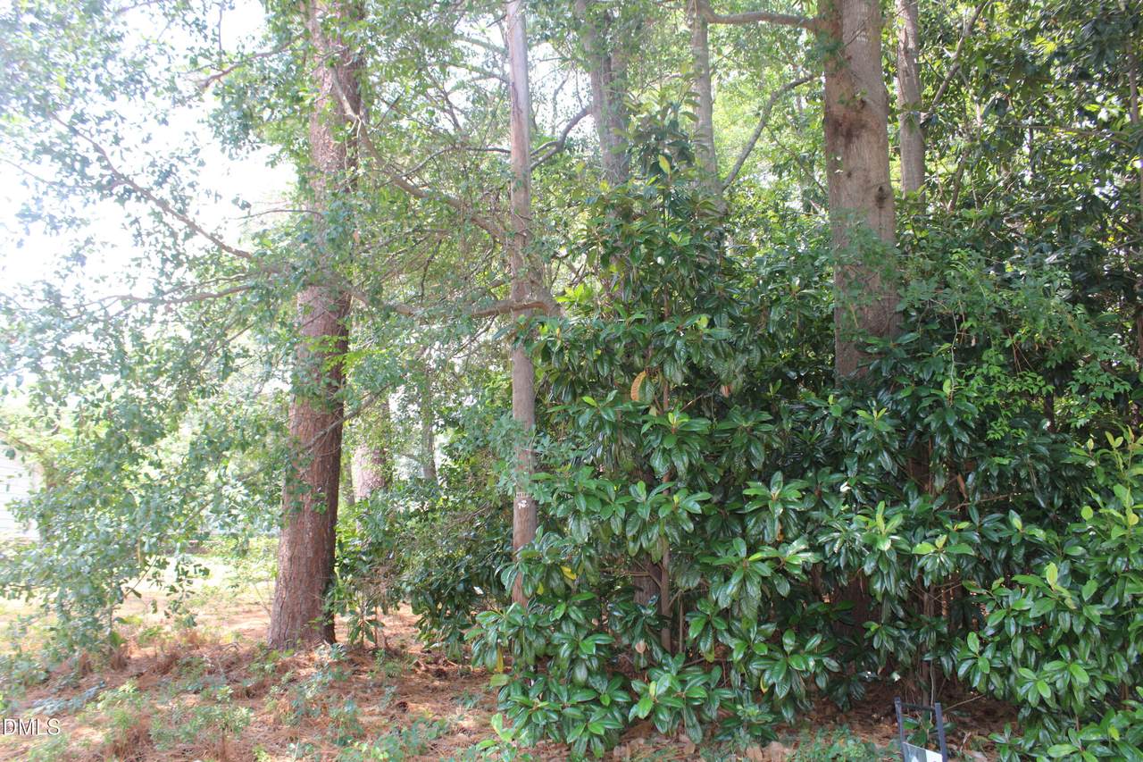 https://bt-photos.global.ssl.fastly.net/tmls/1280_boomver_1_10176497-2.jpg