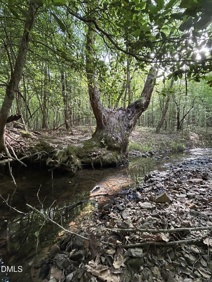 0 Beaver Dam Road - Photo 1