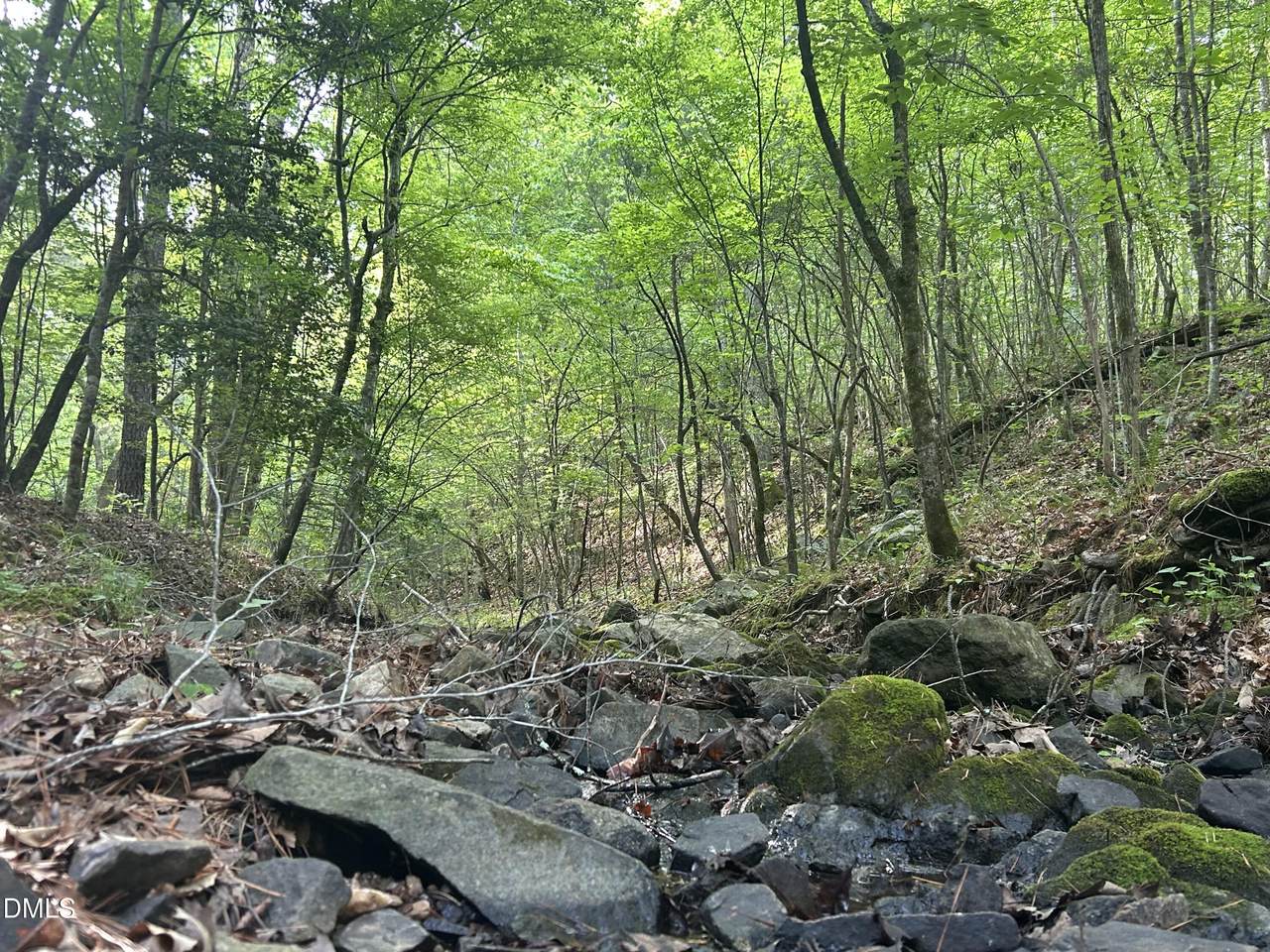 https://bt-photos.global.ssl.fastly.net/tmls/1280_boomver_2_10177886-2.jpg